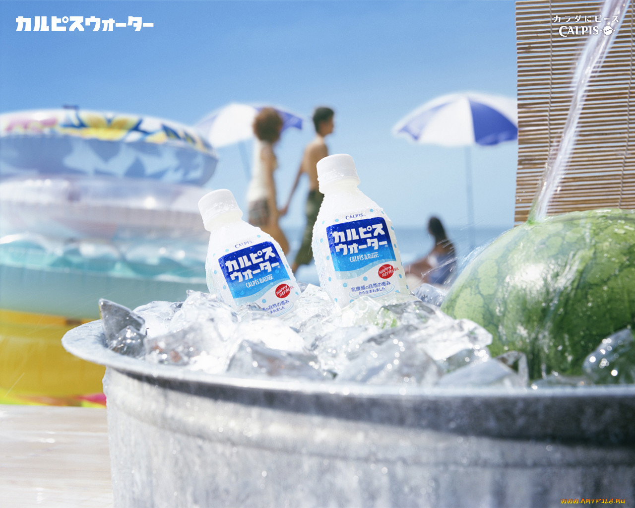 calpis, 